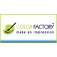 Color Factory