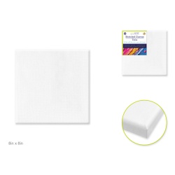 Stretch Artist Canvas  Square 8x8" Primed Back-Stapled"