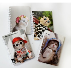 Fat Little Book 300pgs 4x6" Cat Designs Asst'd"