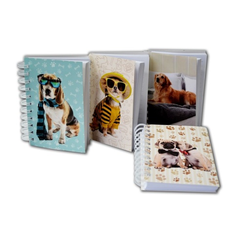 Fat Little Book 300pgs 4x6