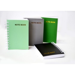 Fat Little Book 300pgs 4x6" Plain Designs Asst'd"