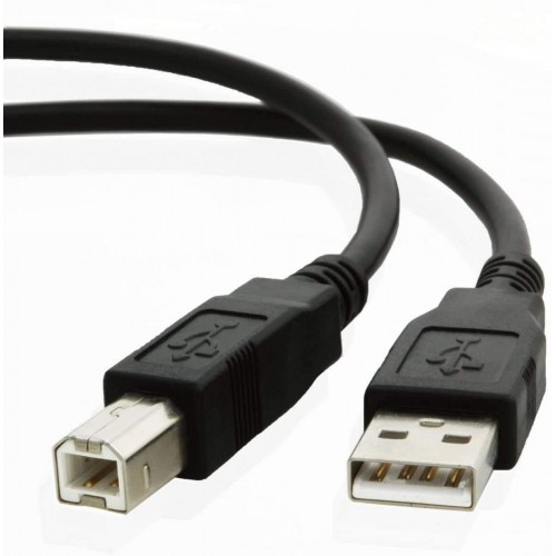Cable - AM - BM 6 Foot USB 2.0 Printer