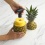 Pineapple Corer Mainstays