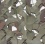 Camoflage roped nets 5x10 feet 152x305cm - bushline outdoors