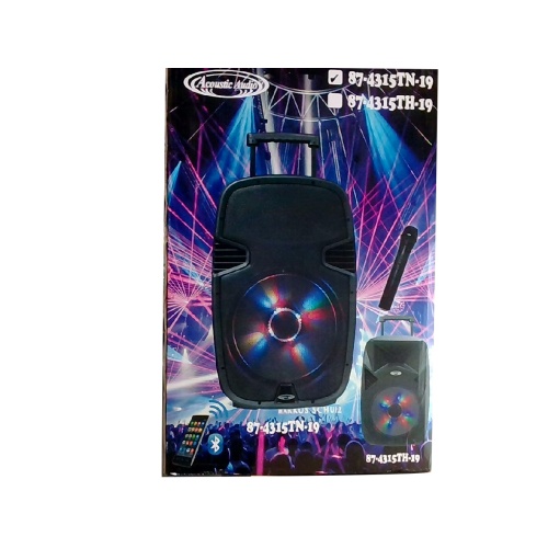 Active Speaker 15 TWS w/ Bluetooth & FM Acoustic Audio