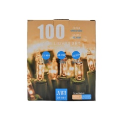 Mini Light 100lt In/outdoor Clear Bulb 22.95ft Length