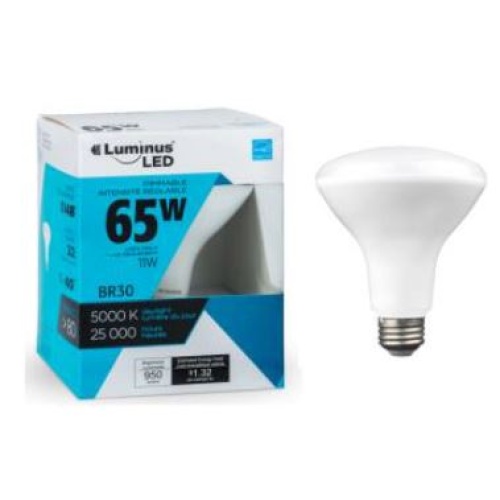 LED Bulb BR30 G5 11W 5000K Luminus