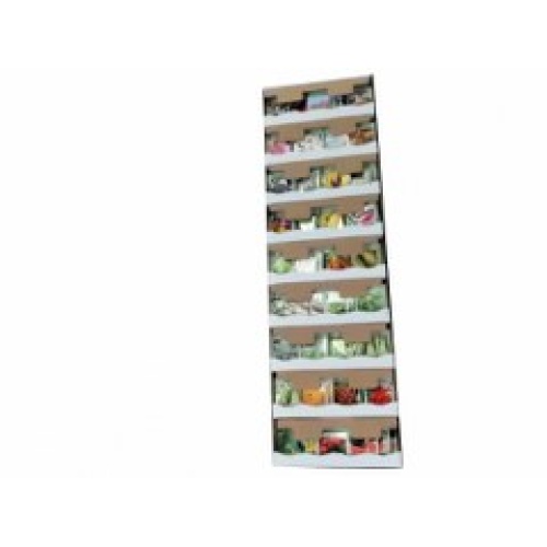 Seed Display Flowers & Vegetables Ass't Or 3/$1.00