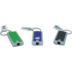 Keychain w/Illuminator Light Assorted Colours