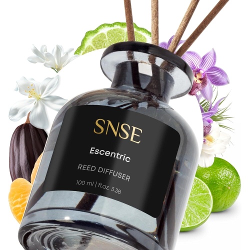 Reed Diffuser SNSE Escentric 100mL Oil w/8 Reeds