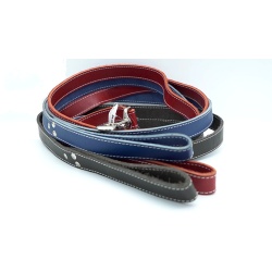 Leather Leads 1 X 6' Blue Or Brown Or Red"
