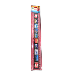 12 Canada Ruler Plastic"