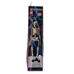 Mini Skeleton 18 Height w/ABS Stand Edu-Toys"
